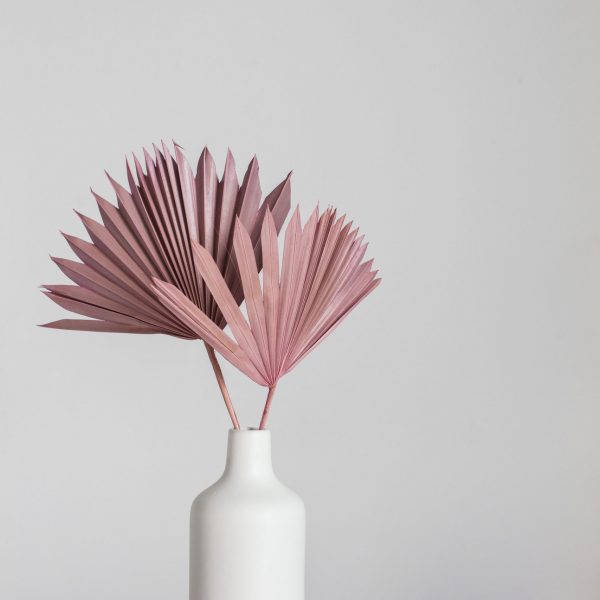 Clay-Pink_Social-Squares_Styled-Stock_01109-scaled